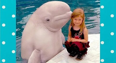 Amazing ! funny dolphin make baby laugh || Funny baby and pet