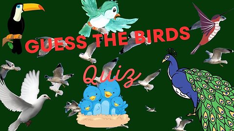 "Entertaining Bird Quiz for Kids and Adults: Can You Identify Them?"