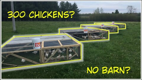 Building Joel Salatin Chicken Tractors. Raising Chickens without a barn.