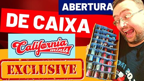 ABERTURA DE CAIXA LINHA BÁSICA MINIATURAS CONCORRENTE DA HOT WHEELS