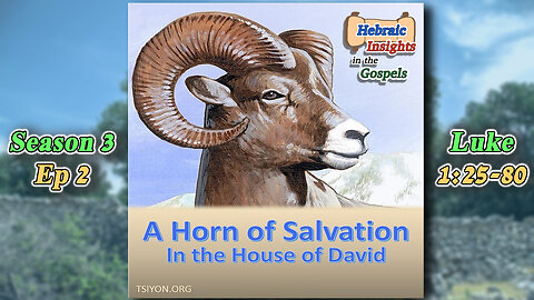 Luke 1:25-80 - A Horn of Salvation in the House of David - HIG S3 Ep2
