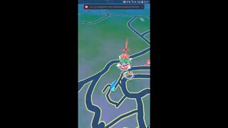 Live Pokémon GO - Evento de Ano Novo Pokémon GO 💥💥💥