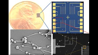 Graphene Carbon Nanotube-Based Chemical Bio-Sensors and Drug Delivery Systems