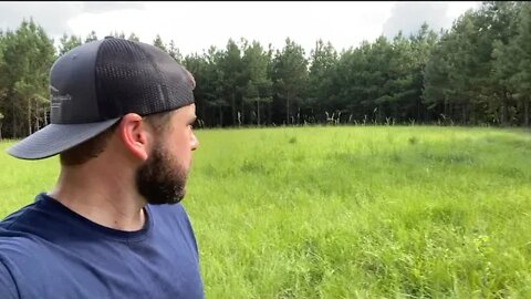 ROTATIONAL GRAZING And Grass FARMING! Calf Update! - The Mac's #farmVLOG