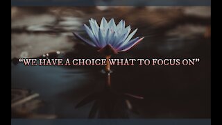MINDFULNESS VIDEO SERIES (12): WE HAVE A CHOICE WHAT TO FOCUS ON