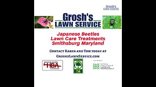 Japanese Beetles Smithsburg Maryland Lawn Care Treatments