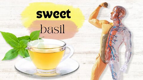 Sweet Basil Tea: Treats Digestive and Respiratory Problems and More!
