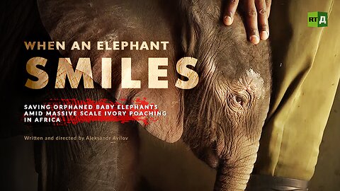 When an Elephant Smiles | RT Documentary