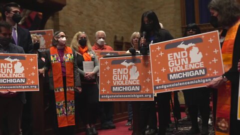 Group considers petition to create gun violence protection laws