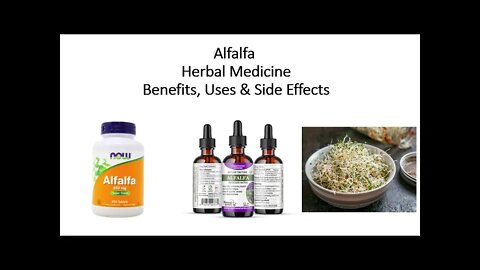 Alfalfa - Herbal Medicine - Benefits, Uses & Side Effects