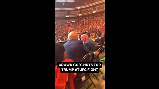 Donald Trump At The UFC Fight