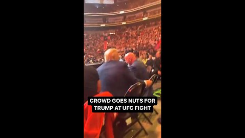 Donald Trump At The UFC Fight