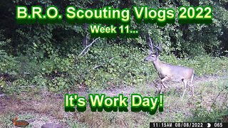 B.R.O. Scouting vlogs 2022! Week 11... Work Day!