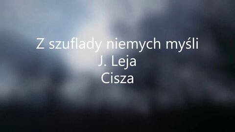 Z szuflady niemych myśli -Justyna Leja Cisza