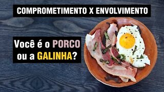 O porco e a galinha, uma história sobre compromisso e envolvimento #sejaoporco