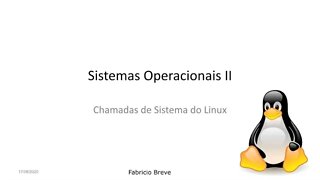 Aula 14 - Chamadas de Sistema do Linux - Sistemas Operacionais II