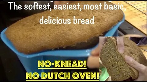The softest & Easiest WHOLEMEAL NO-KNEAD Bread EVER! For weight loss. No-Dutch Oven.(CC)