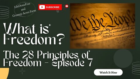 What is Freedom? 28 Principles of Freedom - Episode 7
