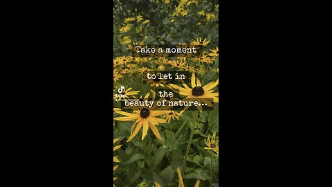 Moment of peace! #flowers #wildflowers #beautyofnature #tarotary #peace #meditation #beauty