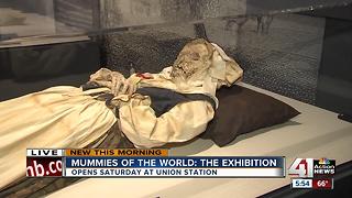 Mummies of the World: The Exhibition comes to Union Station