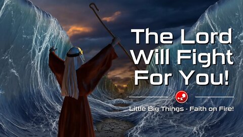 THE LORD WILL FIGHT FOR YOU - Daily Devotional - Little Big Things