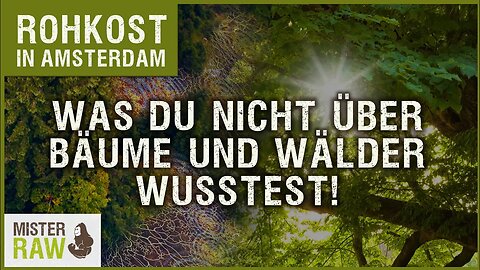 Was du mit Sicherheit noch nicht über Bäume und Wälder wusstest!