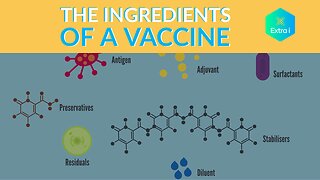 What are the Ingredients in a Vaccine?