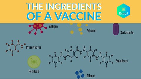 What are the Ingredients in a Vaccine?
