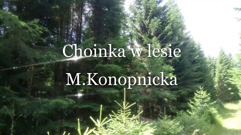 Choinka w lesie - M.Konopnicka