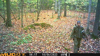 Whitetail Deer - Moon & Movement :: Saddle Hunting