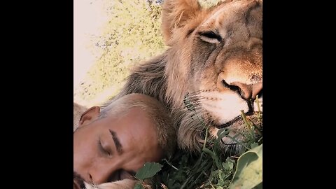Living With Lions