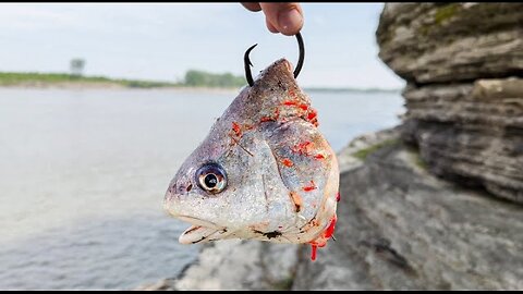 GIANT Fish in a TINY Creek!!! (The Hunt For A 100lb Catfish) #spillway #monsters #fishing