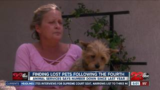 Animal Services picks up dogs after Fourth of July