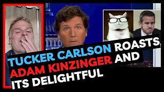 Tucker Carlson Roasts Adam Kinzinger & It's Delightful!