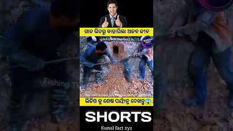 ଗାତ ଭିତରୁ କଣ ବାହାରିଲା🤔#shortsvideo#trending#odia#natiacomedy#odiagapa#youtubeshorts#odiastory@kunal