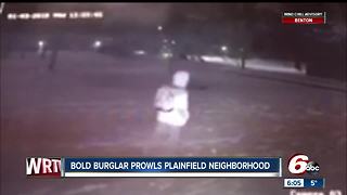 Burglar caught by surveillance cameras breaking into cars