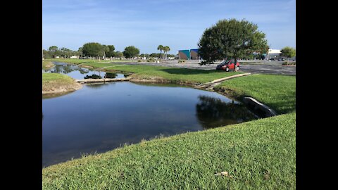 Fly Fishing Veteran's Memorial Park in Brevard County, Florida