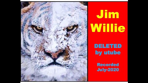 Jim Willie - Why He Left the USA - DELETED by utube