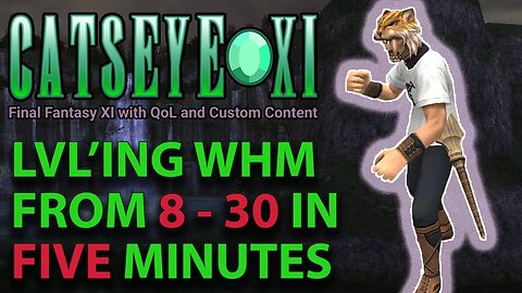 This WHM Power Is Unmatched! - Cat's Eye - Private FFXI FF11 Server