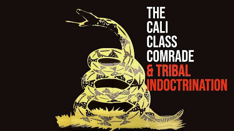 The Cali Class Comrade & Tribal Indoctrination - State of Dissidents #11