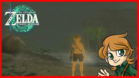 A Beach... Trip? - TLoZ: Tears of the Kingdom Blind - 10