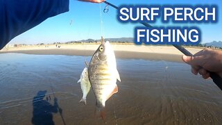 SURF PERCH FISHING AND SETUP ** SEASIDE, OREGON