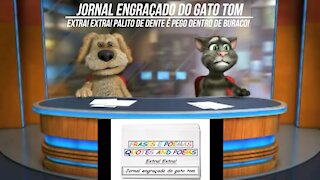 Jornal engraçado do gato tom: Palito de dente é pego dentro de buraco! [Frases e Poemas]