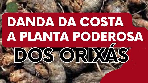 DANDA DA COSTA - O RESGATE DO ORIXÁ @KitandadosOrixas