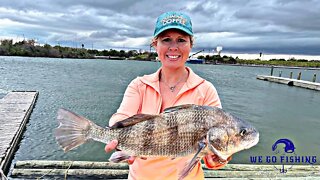 Pre-Cold Front Inshore Fishing Texas I Multiple Species!