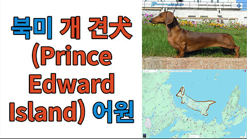 북미 개 견犬(Prince Edward Island) 어원