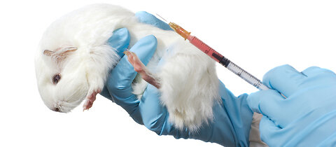 Human "Guinea Pigs" needed for testing new mRNA Universal Influenza Vaccine, apply today!