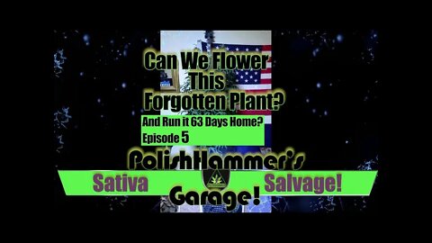 Sativa Salvage Ep 5 "Breaker 1- 9 U Got YOur Ears On?" 🏁🦅🍁🚛🤠💪🔧🔨🔥 #MONTAGE #MAC1 #WEBBGRO #GEEKLIGHT