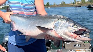 360 Salmon Fishing Madness!