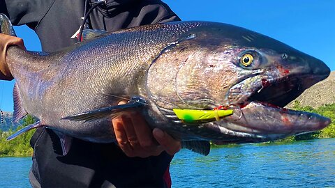EPIC Salmon FISHING with SAVAGE Bites & HUGE Salmon!